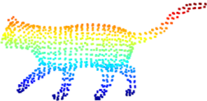 cat_voxel